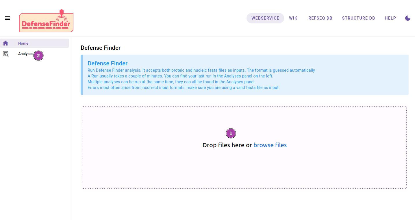 webservice_interface