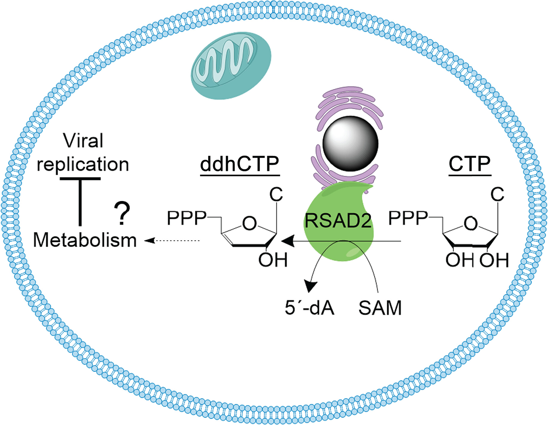 Figure1